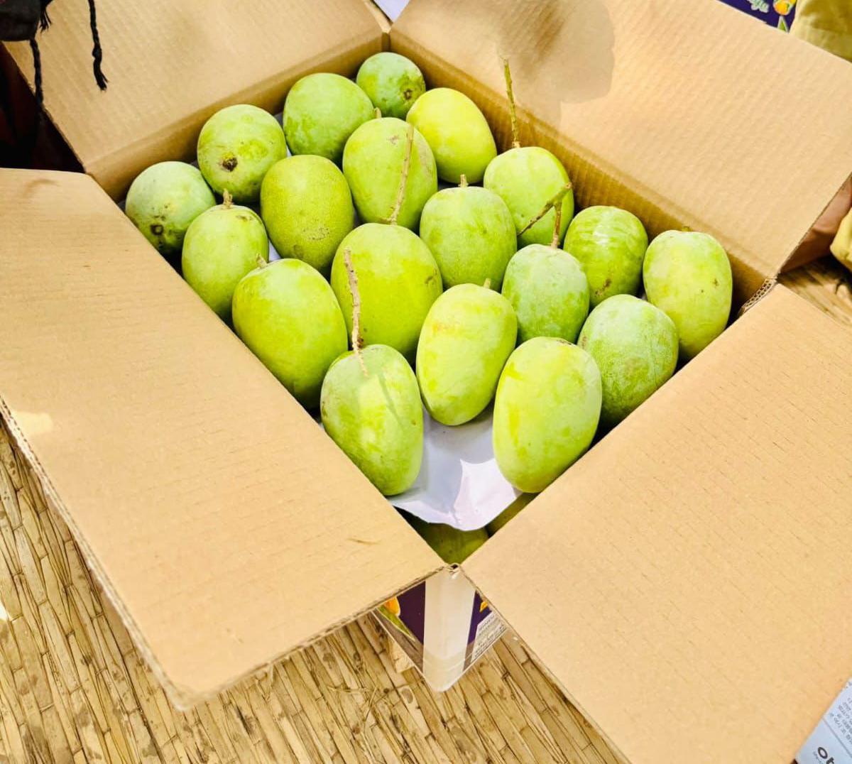 Aseel Anwar Ratool mangoes from Thaheem Fruit Farms in Multan